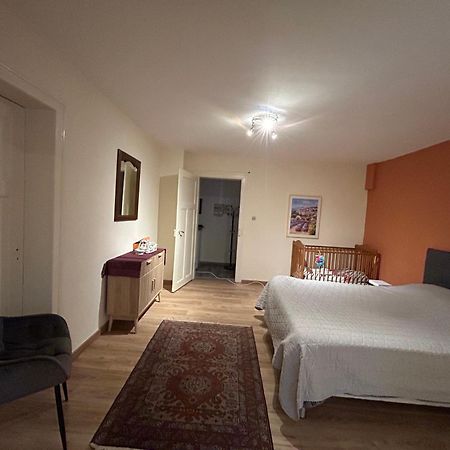 Bel Appartement En Rdc Proche Strasbourg Nice Apartment Very Near Strasbourg Kültér fotó